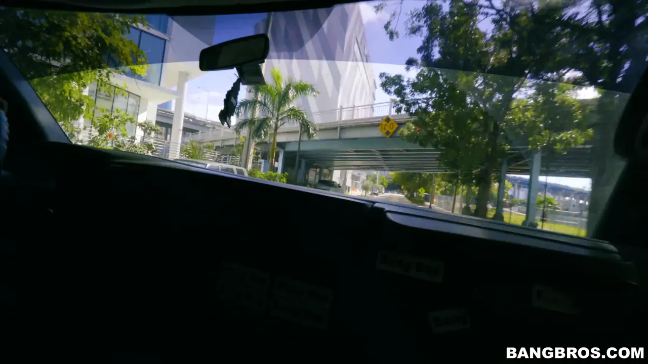 Bangbros 'El paseo de la vergüenza' protagonizando Aaliyah Hadid (foto 1)