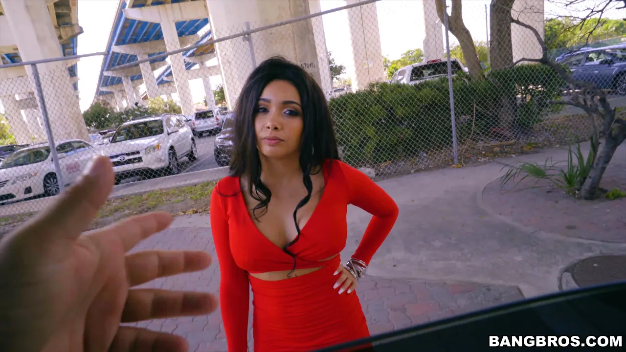 Bangbros 'El paseo de la vergüenza' protagonizando Aaliyah Hadid (foto 66)