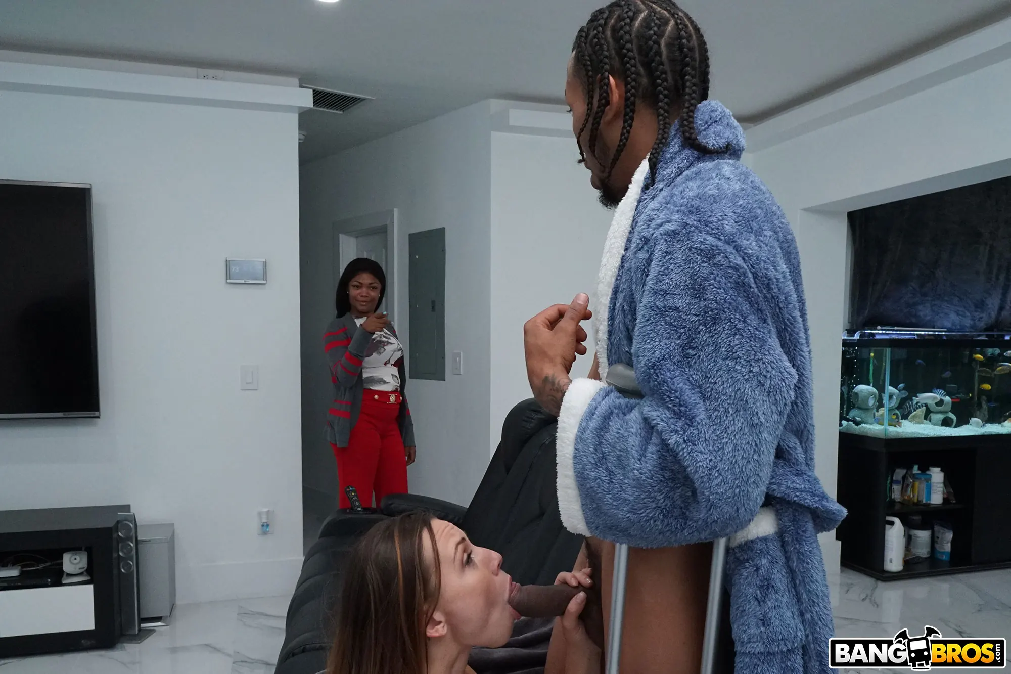 Bangbros 'El polvo interracial de Aidra' protagonizando Aidra Fox (foto 370)