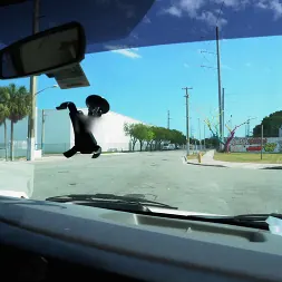 Alex Harper in Shy tourist does anal for cash (Photo 1) Alex Harper in 'Bangbros' Shy tourist does anal for cash (Thumbnail 1)