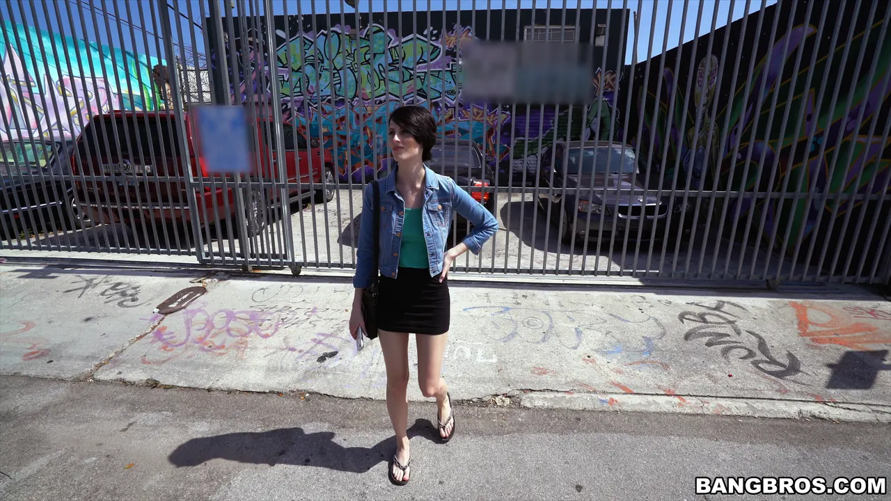 Bangbros 'Shy tourist does anal for cash' starring Alex Harper (Photo 155)