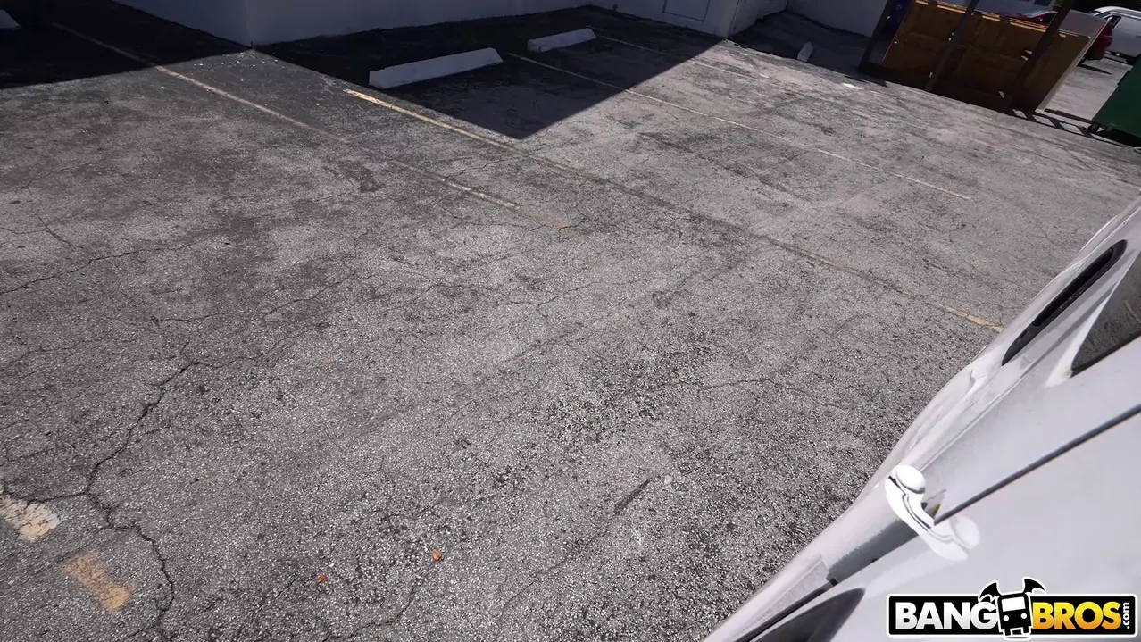 Bangbros 'Panties 4 Sale' starring Alexa Kiss (Photo 490)