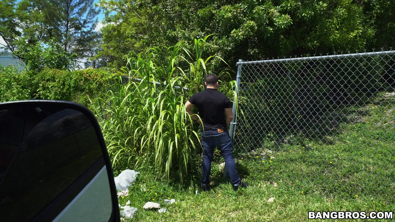 Bangbros 'Ubus Driving Service' starring Alexis (Photo 1)