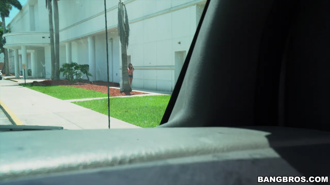 Bangbros 'Ubus Driving Service' starring Alexis (Photo 44)