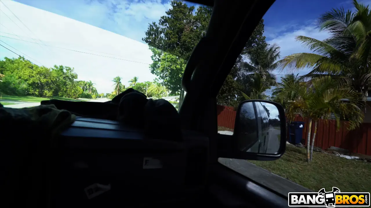 Alexis Avery in 'Good Ebony Pussy From This Bad Girlfriend' from 'Bangbros' (Photo 1) Bangbros 'Good Ebony Pussy From This Bad Girlfriend' starring Alexis Avery (Photo 1)