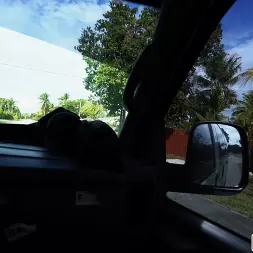 Alexis Avery in Good Ebony Pussy From This Bad Girlfriend (Photo 1) Alexis Avery in 'Bangbros' Good Ebony Pussy From This Bad Girlfriend (Thumbnail 1)