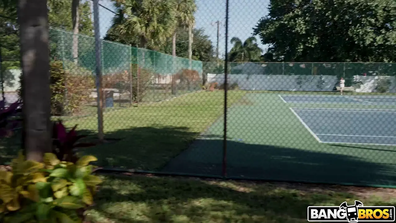 Bangbros 'Alexis viaja en autobús' protagonizando Alexis James (foto 75)