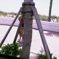 Alina Belle in 'Bangbros' Brazilian Alina Bounces On the Bus (Thumbnail 1)