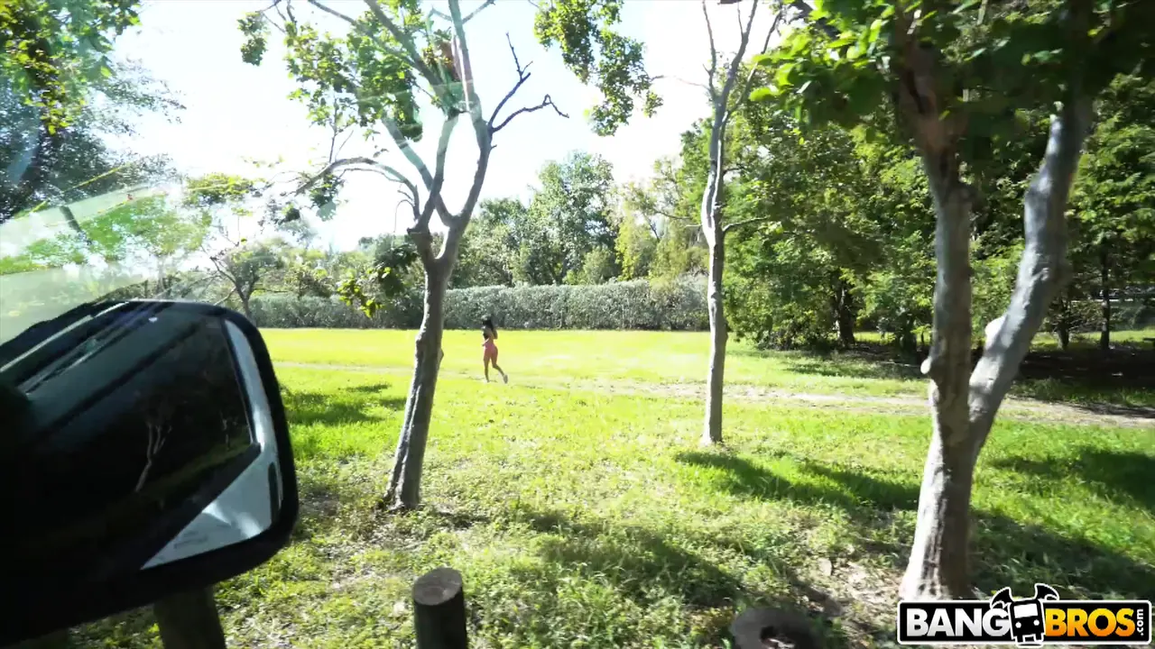 Alissa Avni in 'Jogger Gets Fucked on The Bus' from 'Bangbros' (Photo 1) Bangbros 'Jogger Gets Fucked on The Bus' starring Alissa Avni (Photo 1)