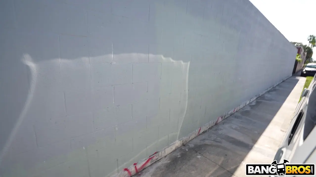 Bangbros 'Bonita, en forma y flexible' protagonizando Alyson Mystery (foto 592)