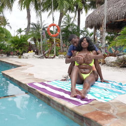 Amari Anne in 'Bangbros' Fun At The Brown Bunny Resort (Thumbnail 126)