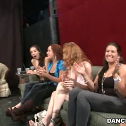 Amateurs in 'Bangbros' Girls go crazy for the Dancing Bear (Thumbnail 924)