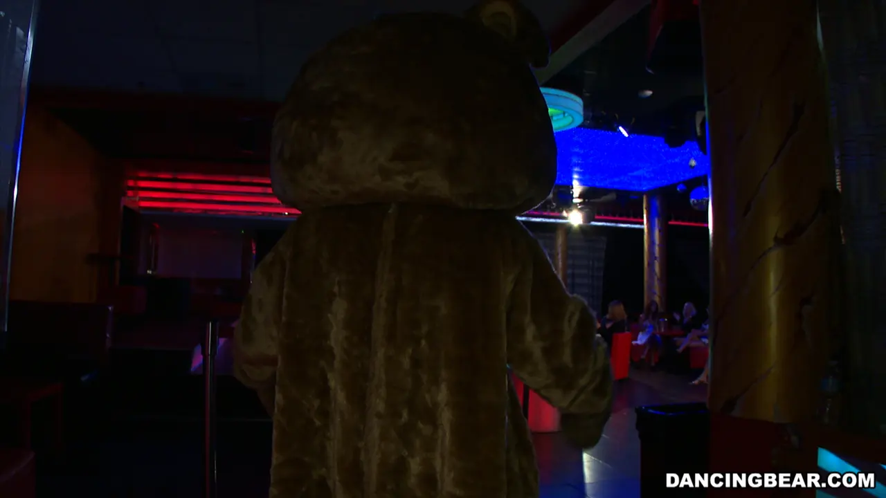 Bangbros 'Party Animals!' starring Amateurs (Photo 1)