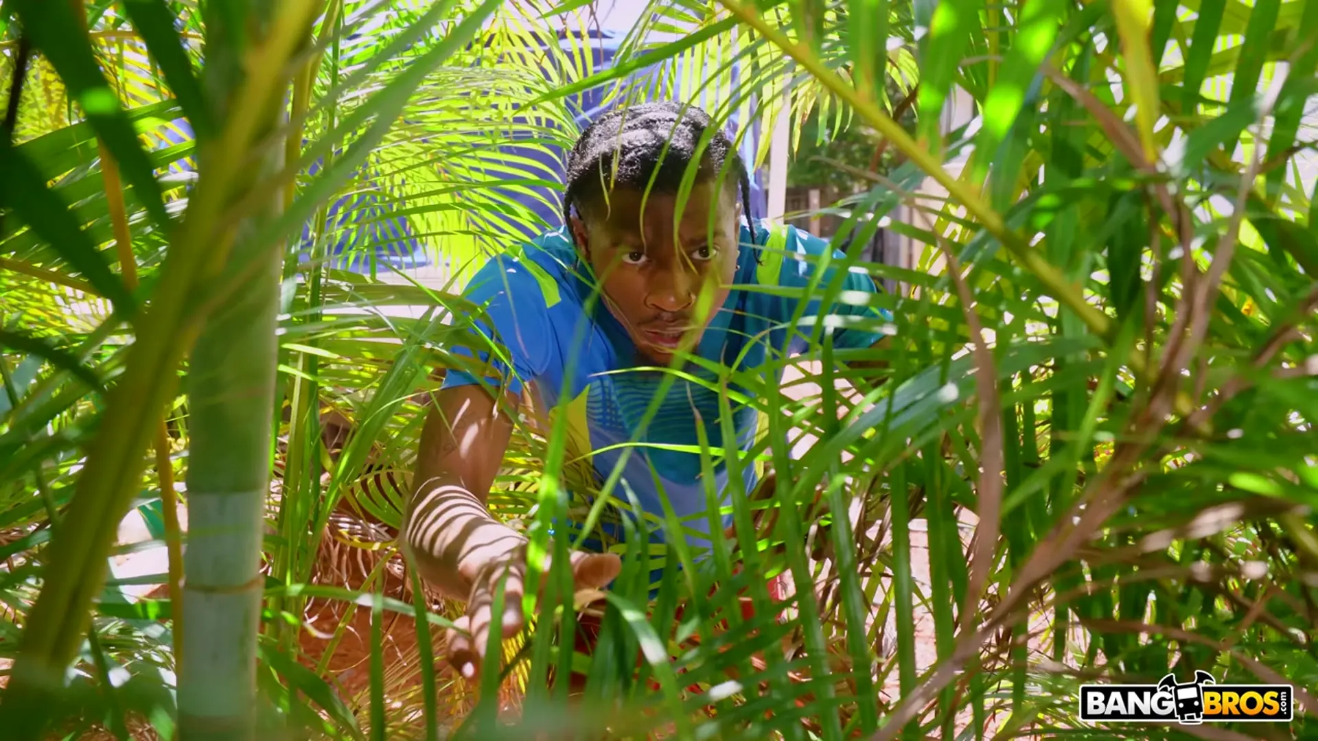 Bangbros 'Ameena Rewards Her Creeping Neighbor' starring Ameena Green (Photo 45)