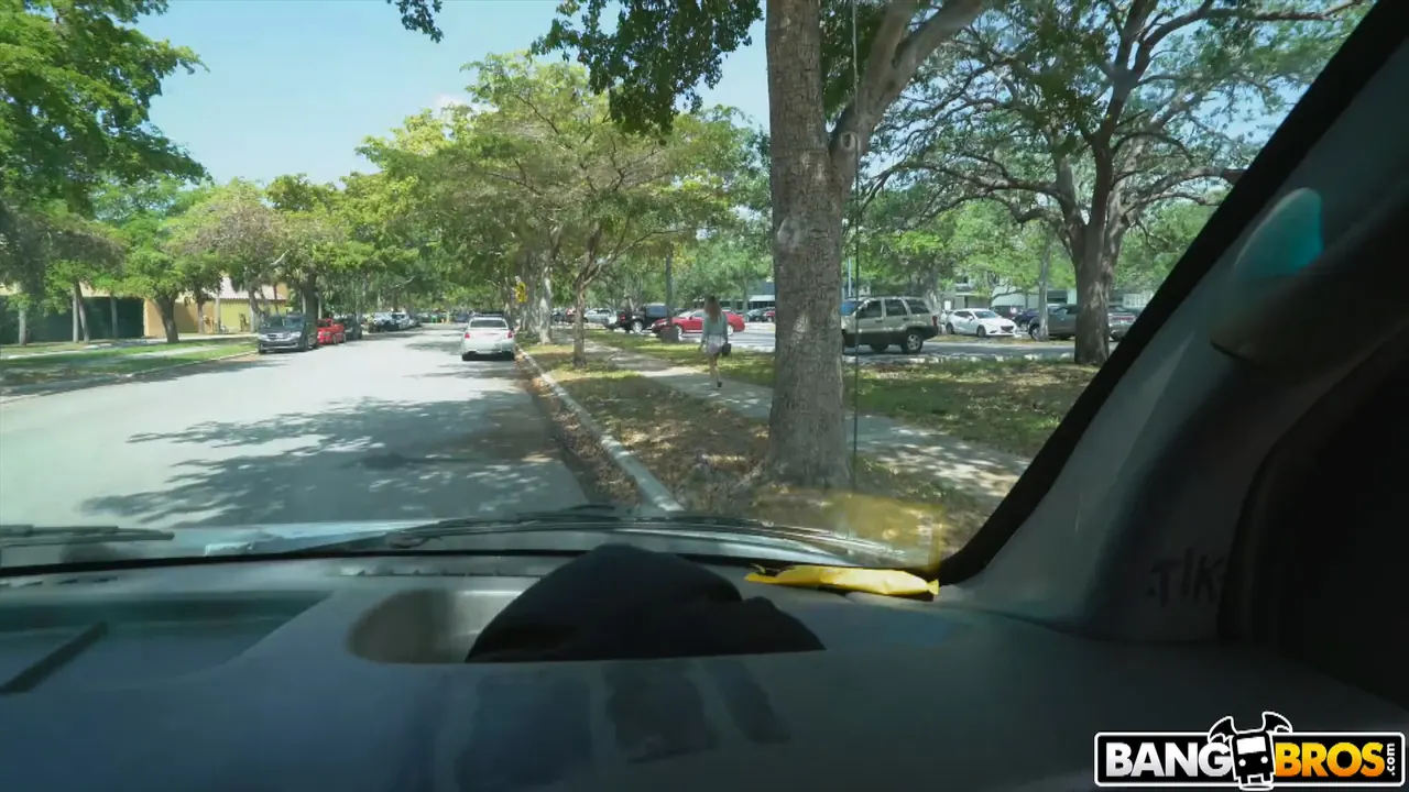 Bangbros 'Hot Teen Gets Fucked on The Bus' starring Ana Rose (Photo 1)