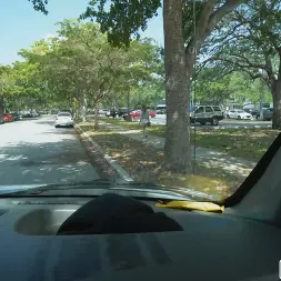 Ana Rose in 'Bangbros' Hot Teen Gets Fucked on The Bus (Thumbnail 1)