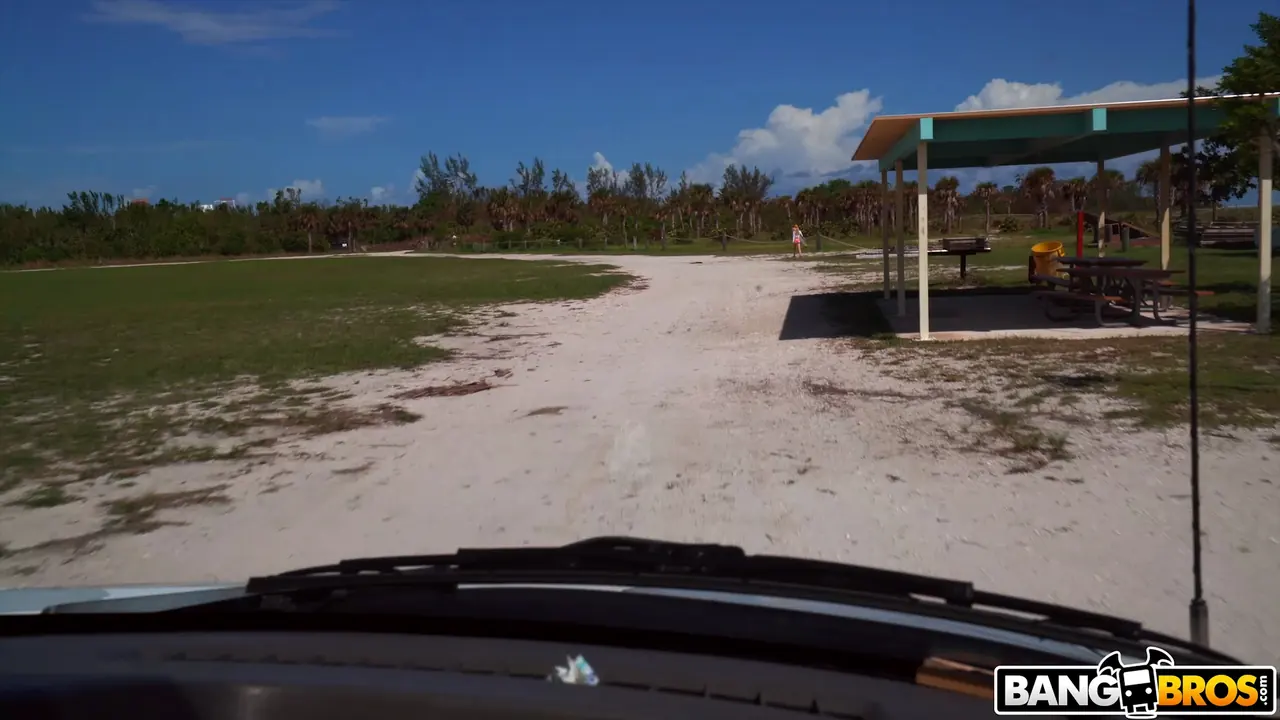 Bangbros 'Hot Surfer Gets Railed on The Bus' starring Anastasia Knight (Photo 1)