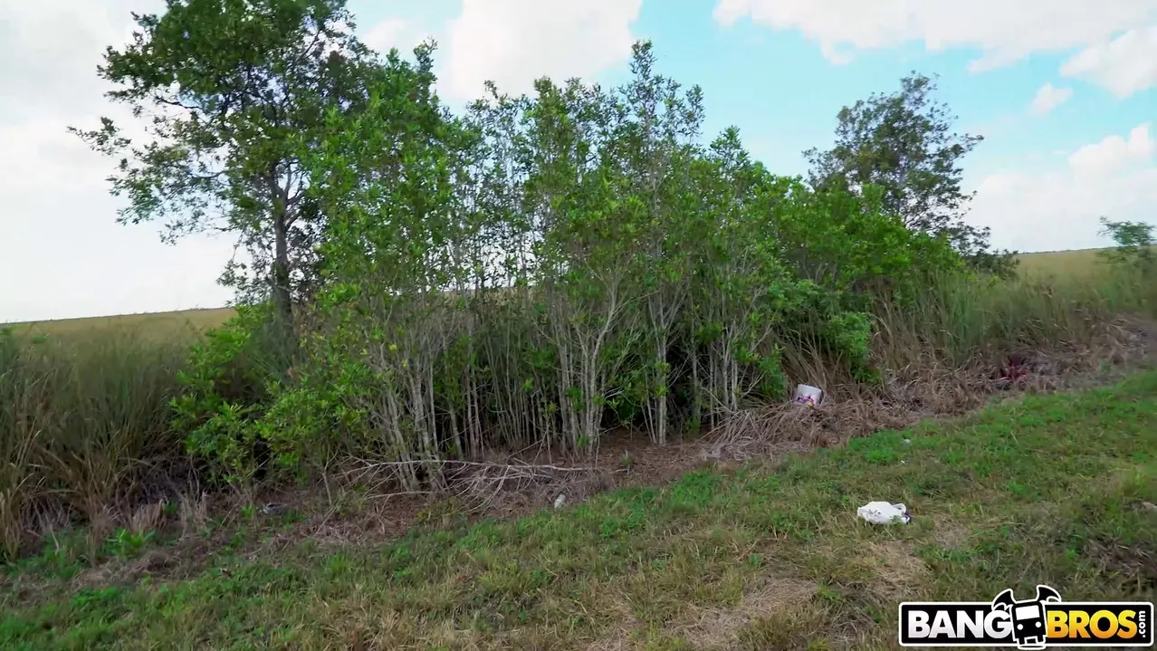 Angel Aurora en 'Cita de San Valentín en el autobús' from 'Bangbros' (foto 483) Bangbros 'Cita de San Valentín en el autobús' protagonizando Angel Aurora (foto 483)