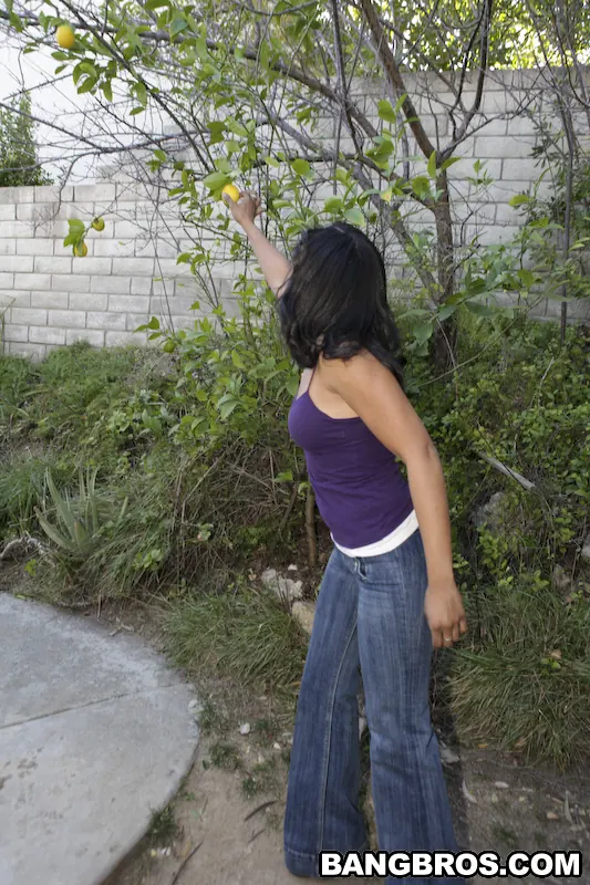 Anita Peida in 'A Chocolate Vixen!' from 'Bangbros' (Photo 55) Bangbros 'A Chocolate Vixen!' starring Anita Peida (Photo 55)