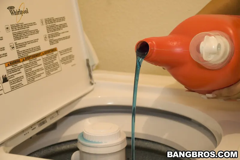 Bangbros 'Sex In The Laundry Room' starring Anna (Photo 162)