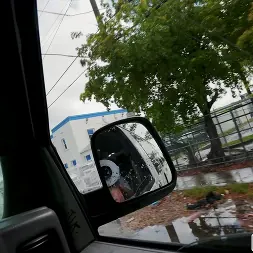 Anna Chambers en 'Bangbros' Chica salvaje hace twerking para un paseo (Miniatura 1)