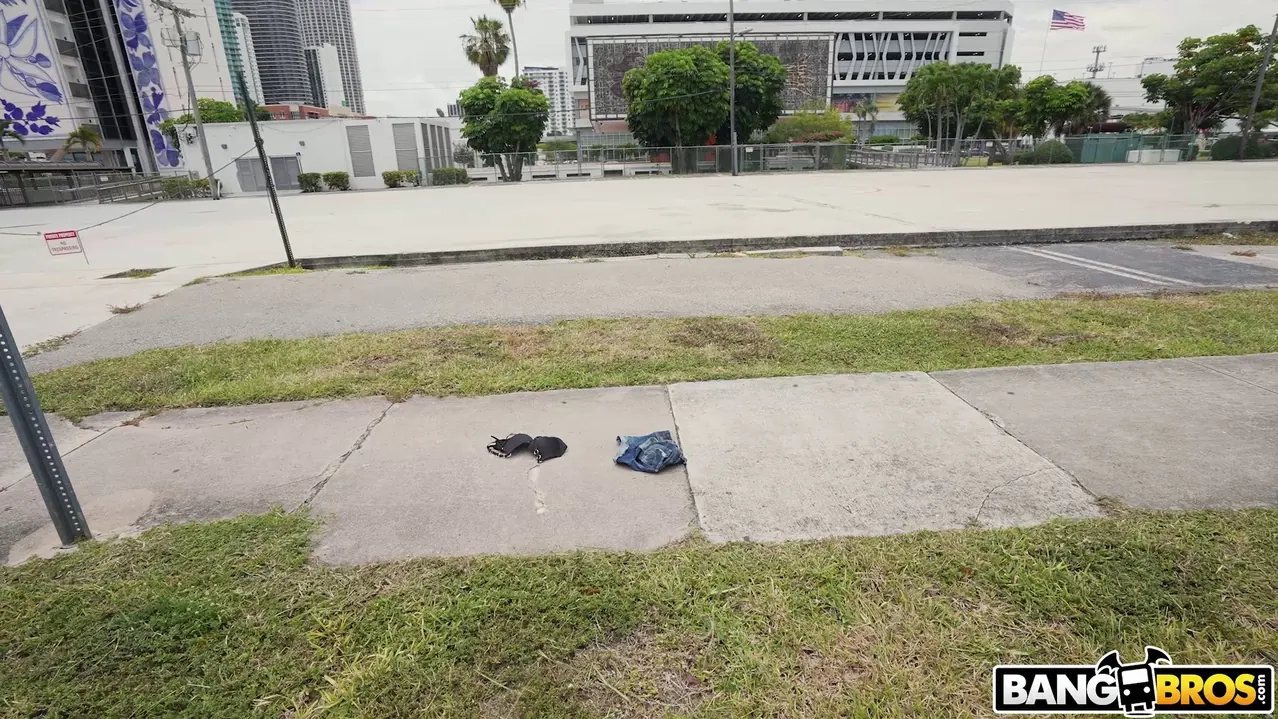 Bangbros 'Chica salvaje hace twerking para un paseo' protagonizando Anna Chambers (foto 384)