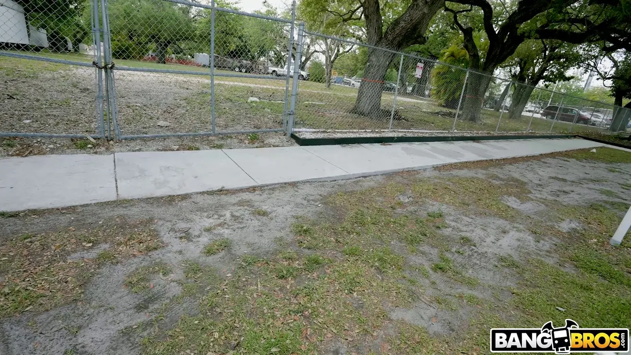 Bangbros 'Luna le da un poco de coño a un extraño' protagonizando Apollo Banks (foto 600)