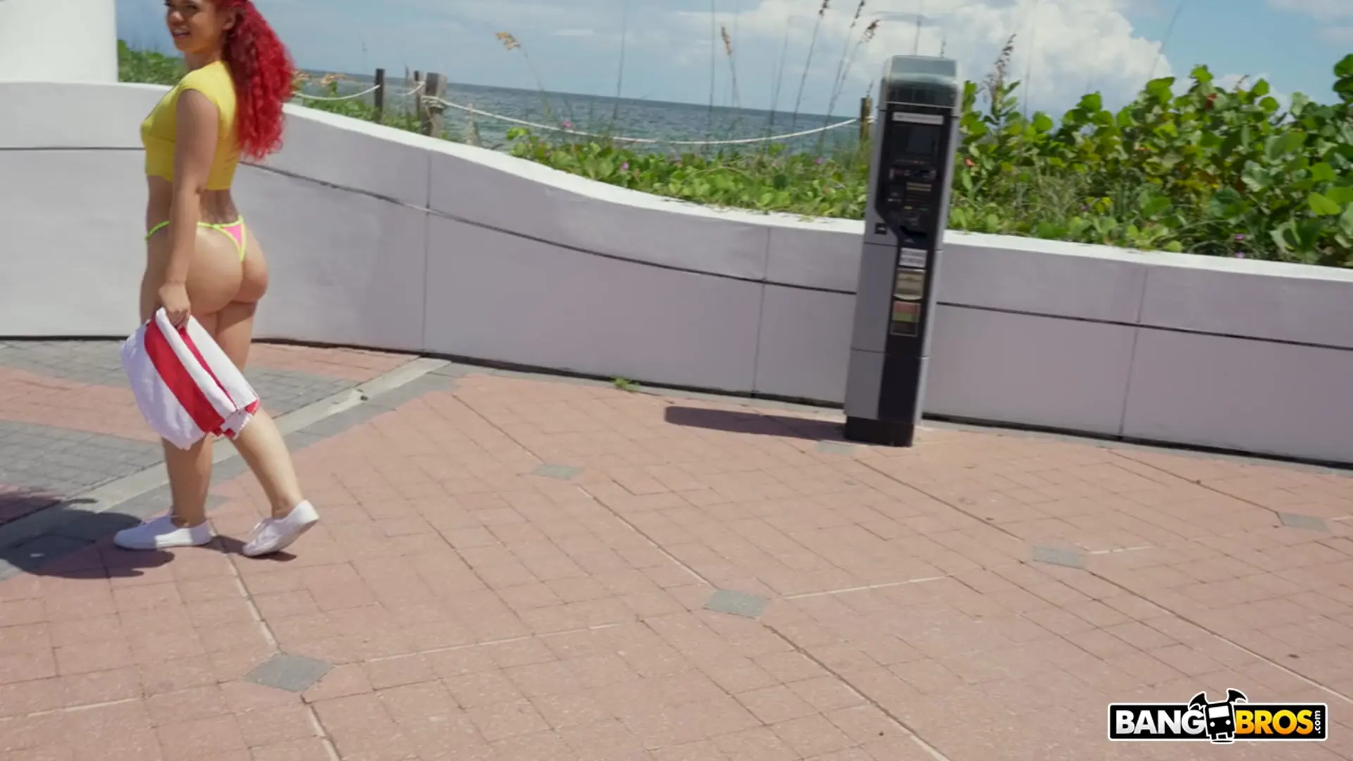 Archer Ali en 'Polla de vacaciones' from 'Bangbros' (foto 71) Bangbros 'Polla de vacaciones' protagonizando Archer Ali (foto 71)