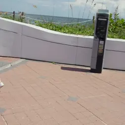 Archer Ali en 'Bangbros' Polla de vacaciones (Miniatura 71)