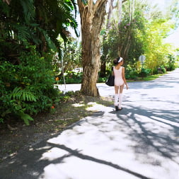 Ariana Aimes in 'Bangbros' Ballerina Takes a Ride (Thumbnail 205)