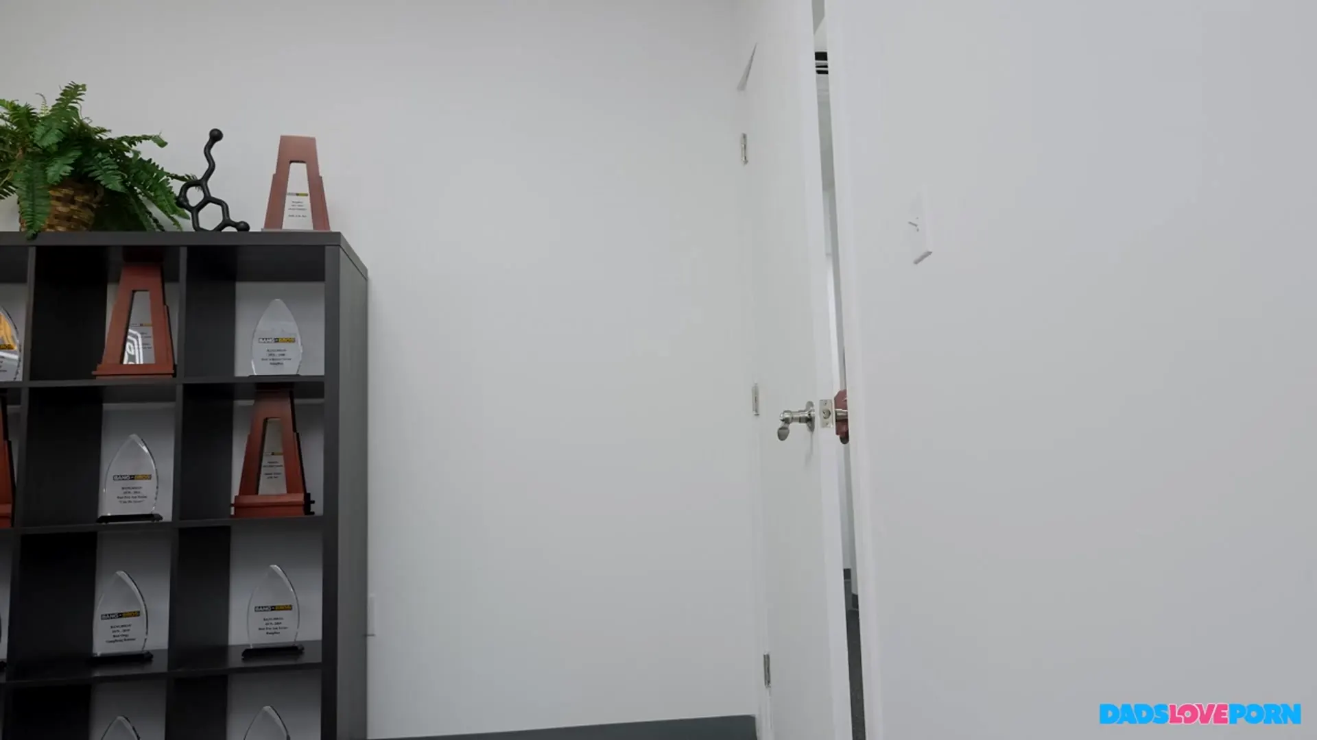 Bangbros 'Beach Dads Part 1: DILF Hunting' starring Ashley Alexander (Photo 324)