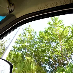 Aubry Babcock in Wild Moments in Miami for the First Time (Photo 1) Aubry Babcock in 'Bangbros' Wild Moments in Miami for the First Time (Thumbnail 1)