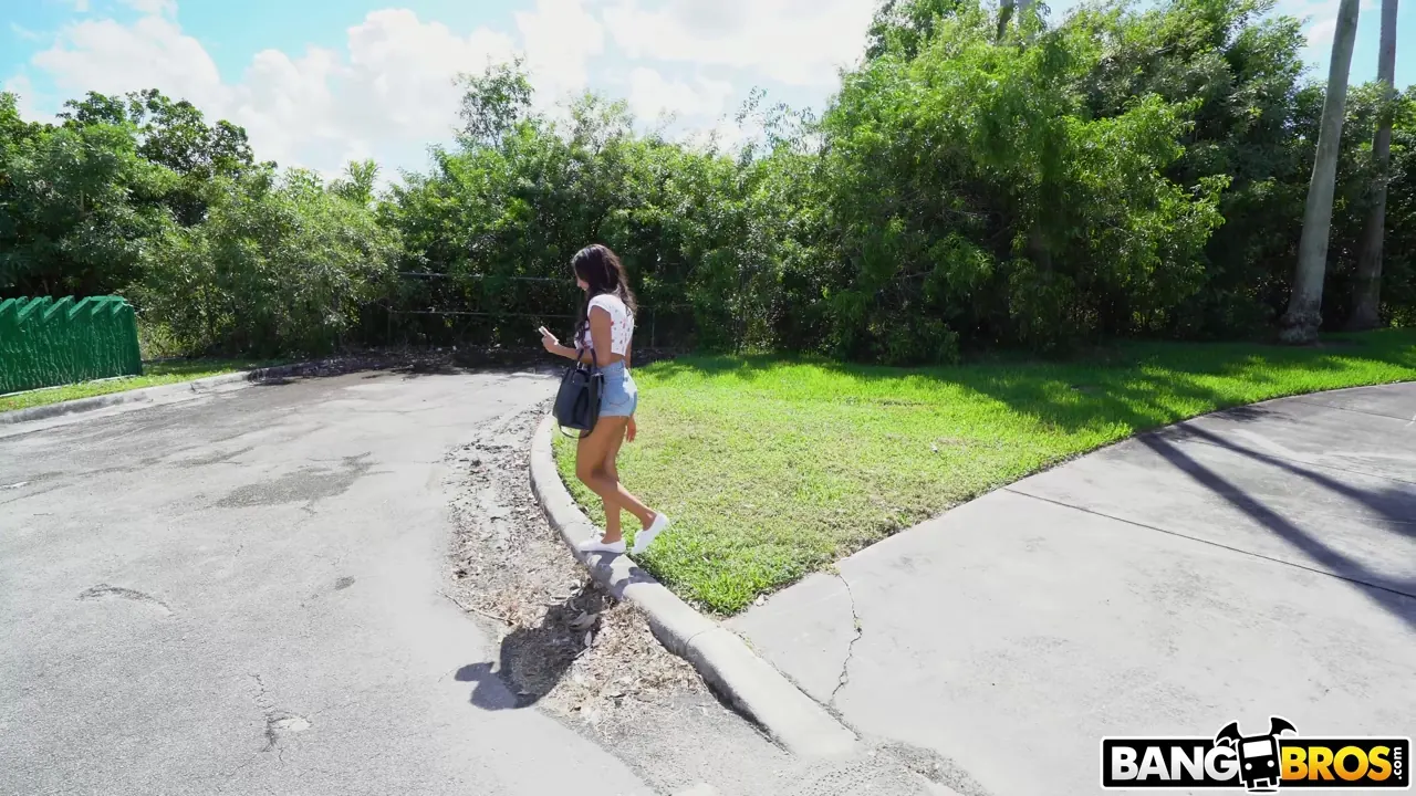 Bangbros 'Barely Legal Hottie Pounded On The Bus' starring Autumn Falls (Photo 1)