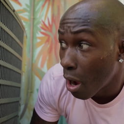 Avery Jane en 'Bangbros' Tom el mirón se hace anal (Miniatura 270)