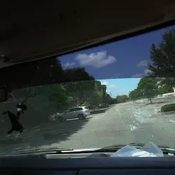 Bailey Brooke in 'Bangbros' Tight Virginia Pussy (Thumbnail 1)