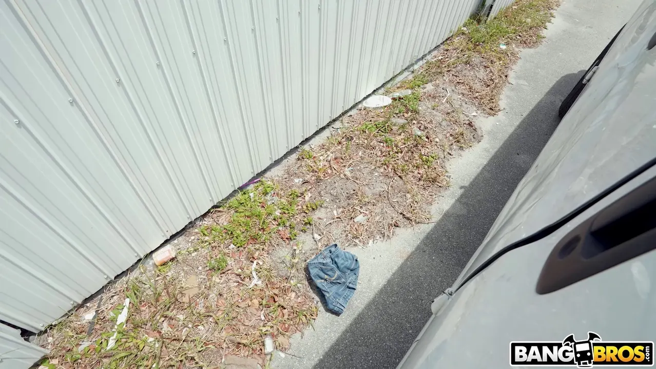 Bangbros 'Playa nudista interior' protagonizando Bella Forbes (foto 414)