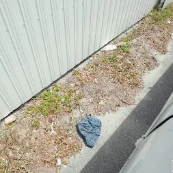 Bella Forbes en 'Bangbros' Playa nudista interior (Miniatura 414)