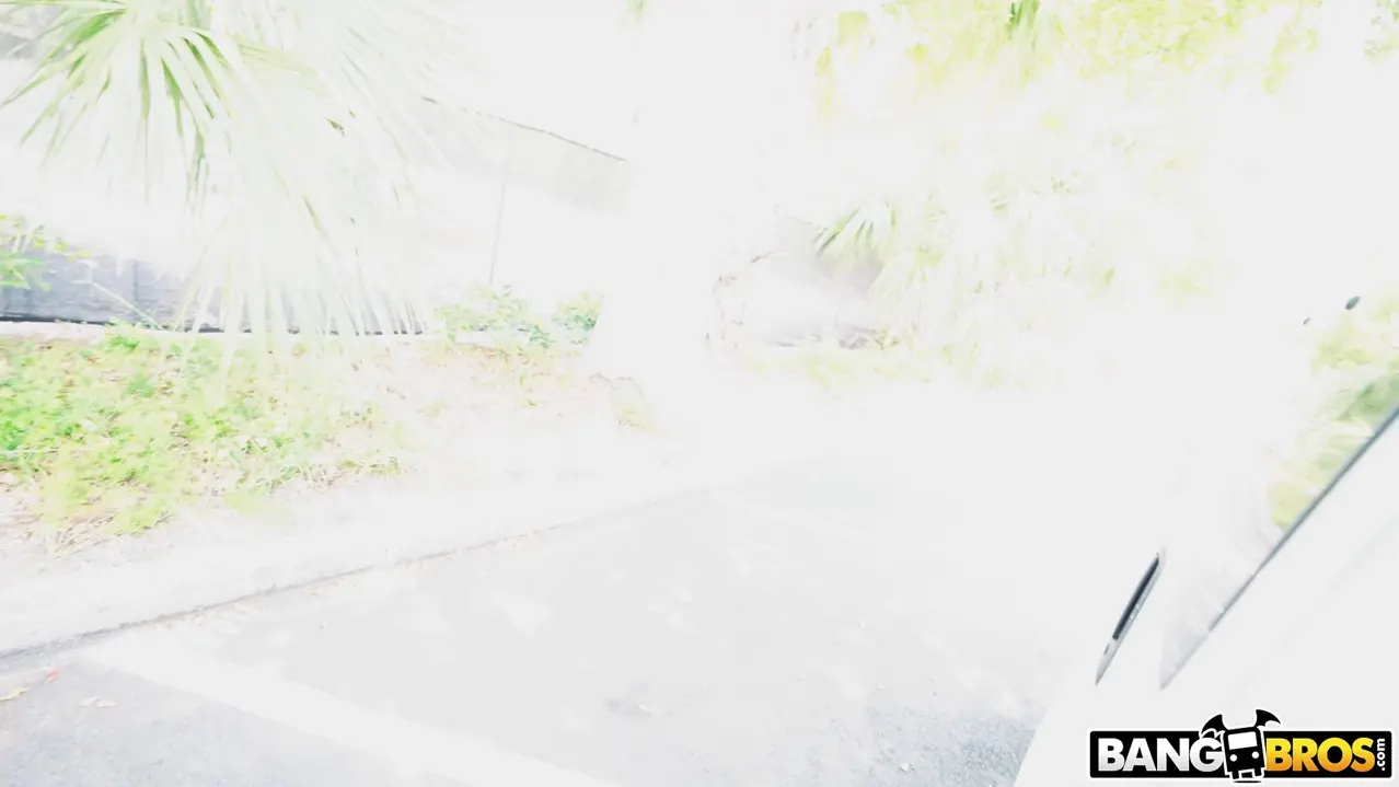 Bonnie Bun in 'Bonnie's Cleavage' from 'Bangbros' (Photo 1125) Bangbros 'Bonnie's Cleavage' starring Bonnie Bun (Photo 1125)