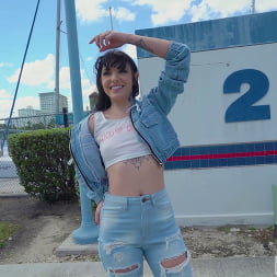 Brenna McKenna in 'Bangbros' Fake Money for Real Anal (Thumbnail 740)