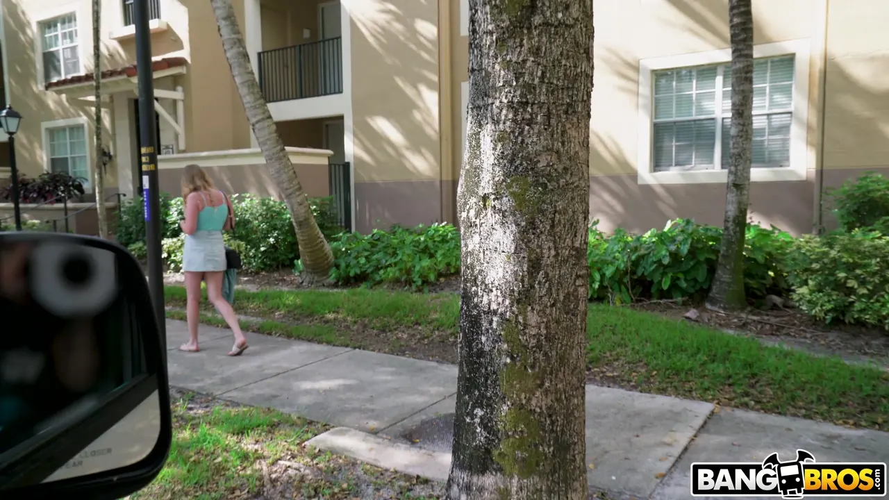 Bangbros 'Low Key Freak Fucks on The Bus' starring Brie Viano (Photo 1)