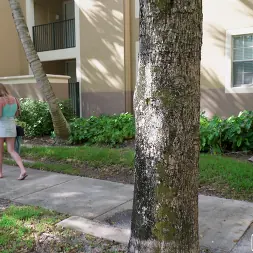 Brie Viano in Low Key Freak Fucks on The Bus (Photo 1) Brie Viano in 'Bangbros' Low Key Freak Fucks on The Bus (Thumbnail 1)