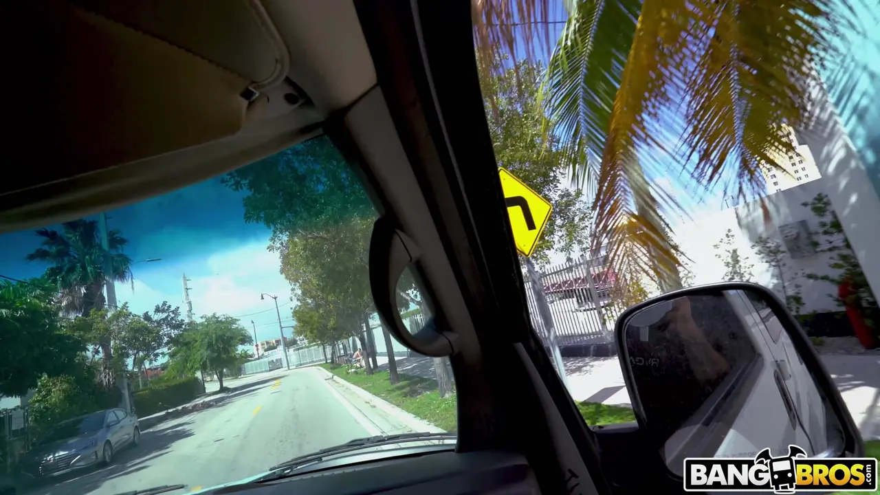 Bangbros 'Hot For Teacher On the Bus' starring Brin Summer (Photo 1)