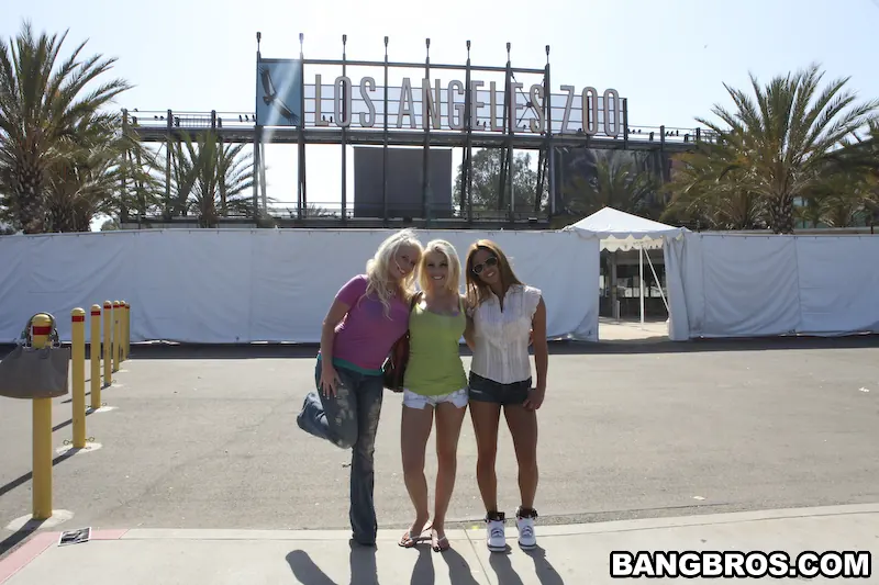Bangbros 'Fuck Team Zoo Trip' starring Britney Amber (Photo 160)