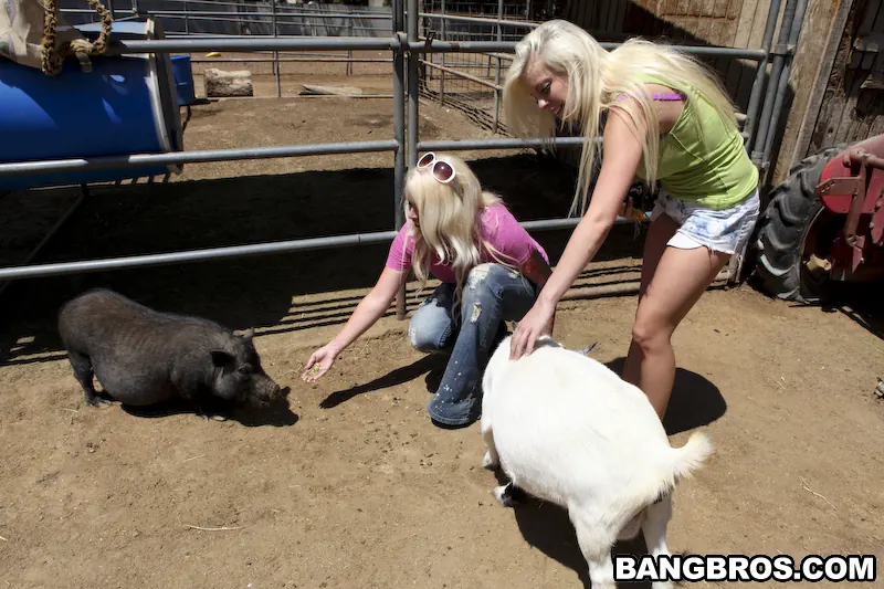 Bangbros 'Fuck Team Zoo Trip' starring Britney Amber (Photo 416)