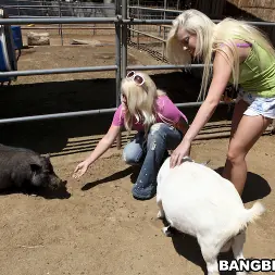 Britney Amber in 'Bangbros' Fuck Team Zoo Trip (Thumbnail 416)