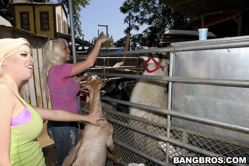 Bangbros 'Fuck Team Zoo Trip' starring Britney Amber (Photo 432)