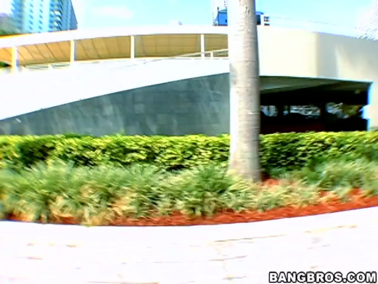 Brittny Blew in 'Milfhunting got me a Stripper' from 'Bangbros' (Photo 297) Bangbros 'Milfhunting got me a Stripper' starring Brittny Blew (Photo 297)