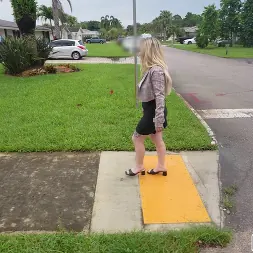 Brooke Ivory in 'Bangbros' The Bus Ends A Dry Spell (Thumbnail 375)