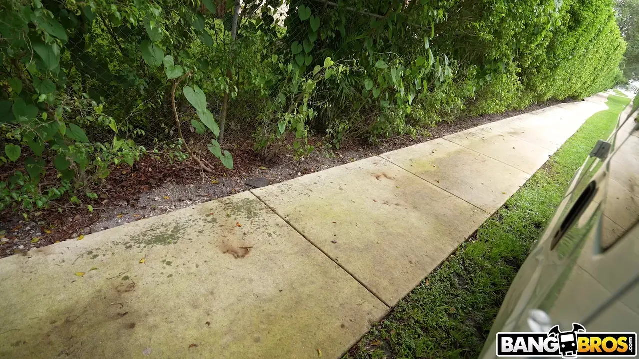 Bangbros 'The Bus Ends A Dry Spell' starring Brooke Ivory (Photo 825)