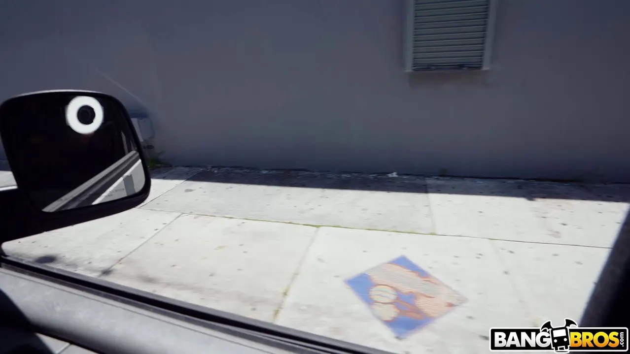 Bangbros 'PAWG Freaks On The Bus' starring Brookie Blair (Photo 1)